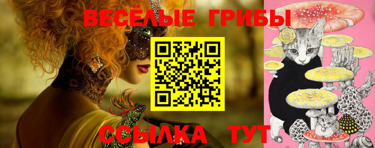 Галлюциногенные грибы Psilocybine cubensis Лесозаводск